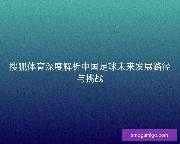 搜狐体育深度解析中国足球未来发展路径与挑战